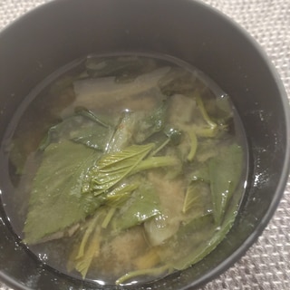 最強野菜♡モロヘイヤの味噌汁